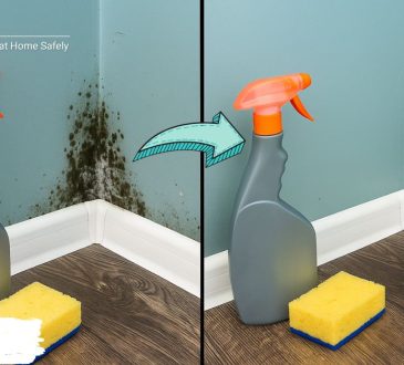 How to Remove Black Mold