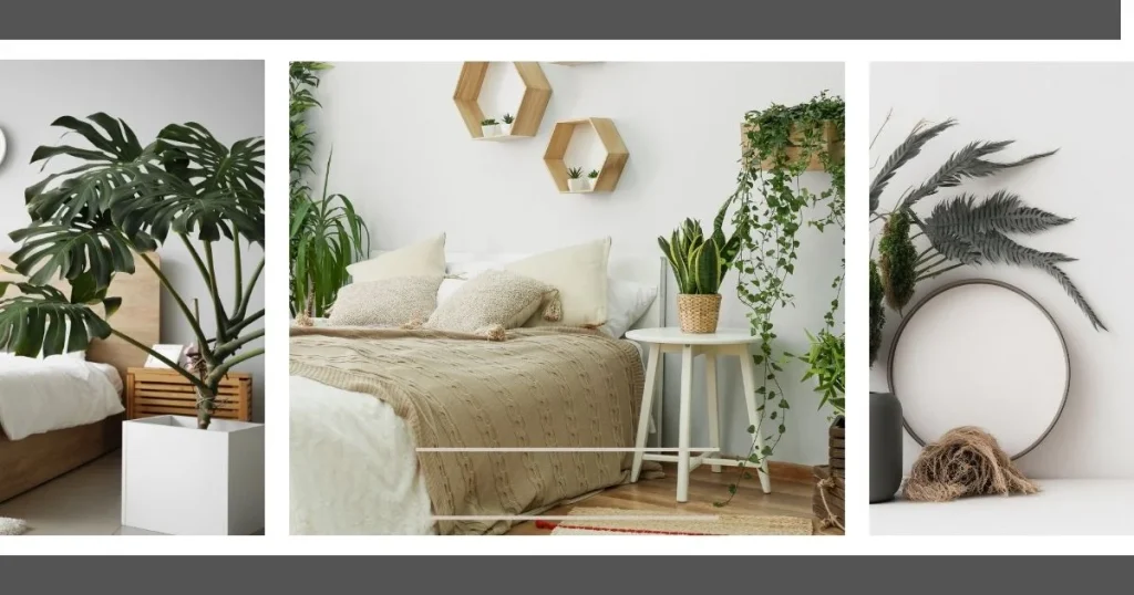 Ultimate Indoor Plant Guide: Tips for Vibrant Growth