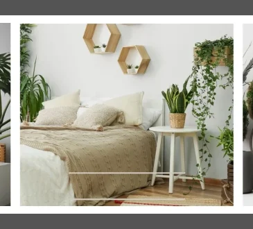 Ultimate Indoor Plant Guide: Tips for Vibrant Growth