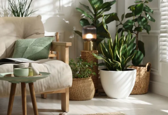 Best Bohemian Interior Design Tips To Make Every Corner Pop